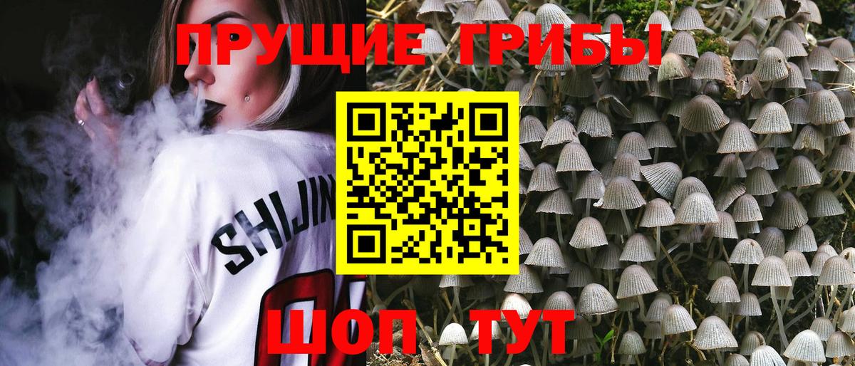 Псилоцибиновые грибы Psilocybine cubensis  Вход с VPN  Ялуторовск 