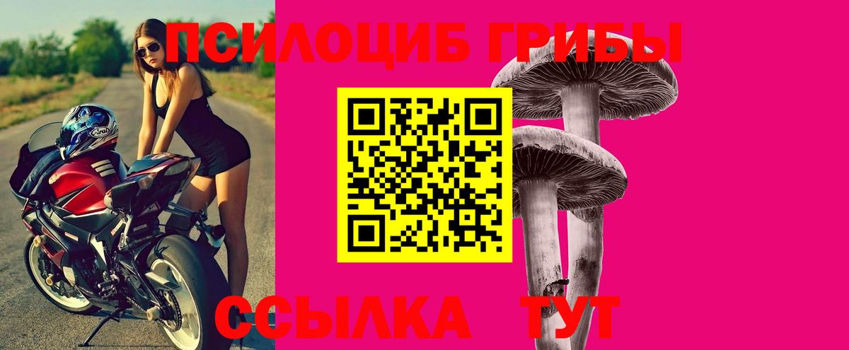 Галлюциногенные грибы прущие грибы Ялуторовск